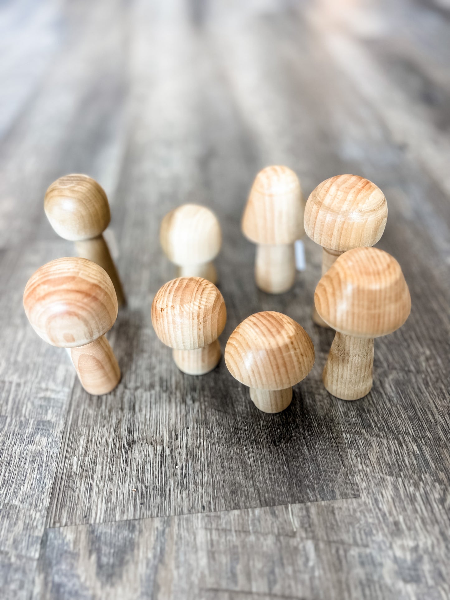 Tiny Wooden Mushroom