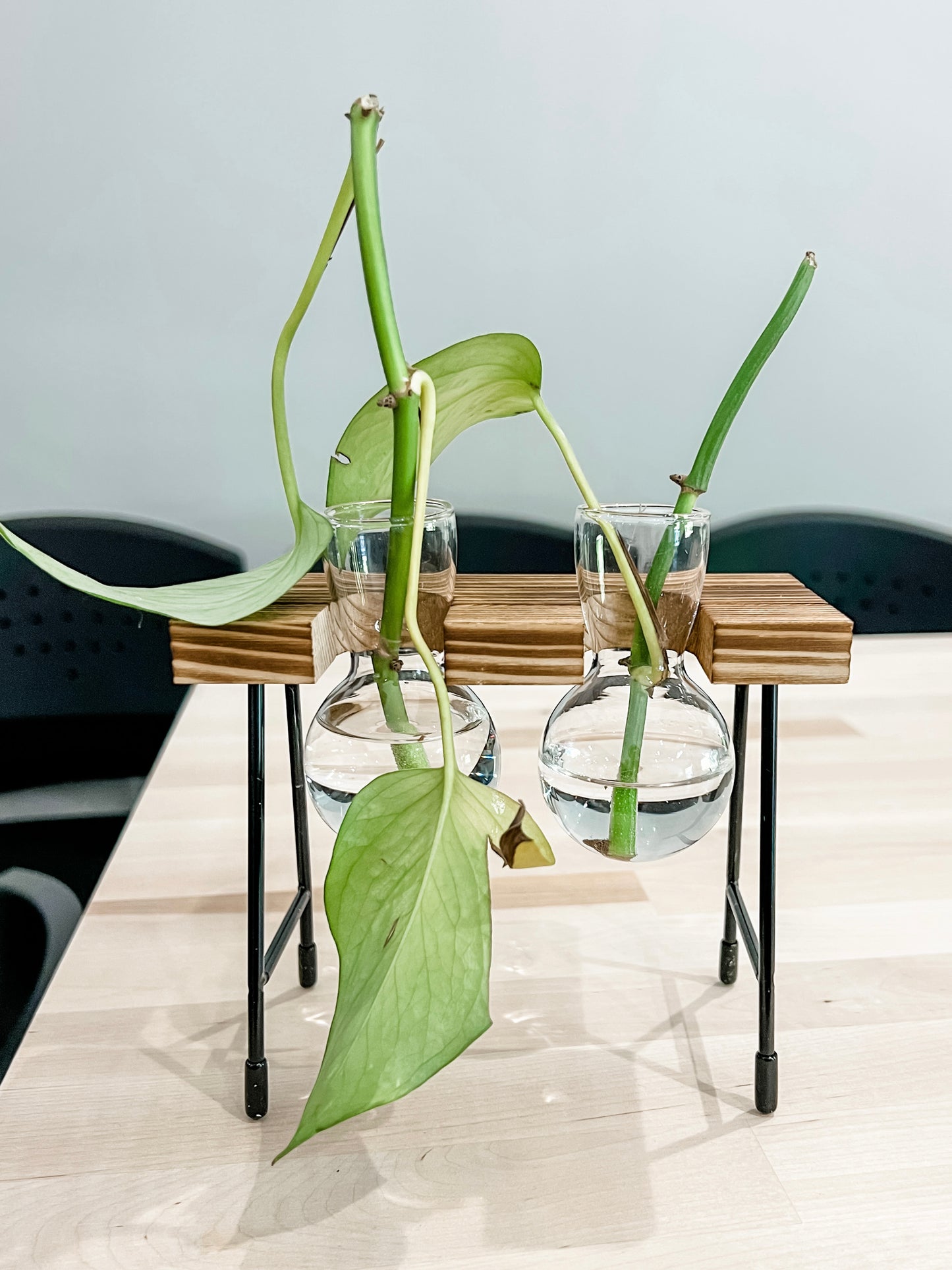 Double Bottle Transparent Glass Vase