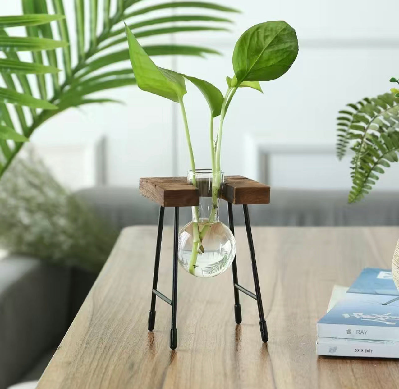 Single Bottle Transparent Glass Vase