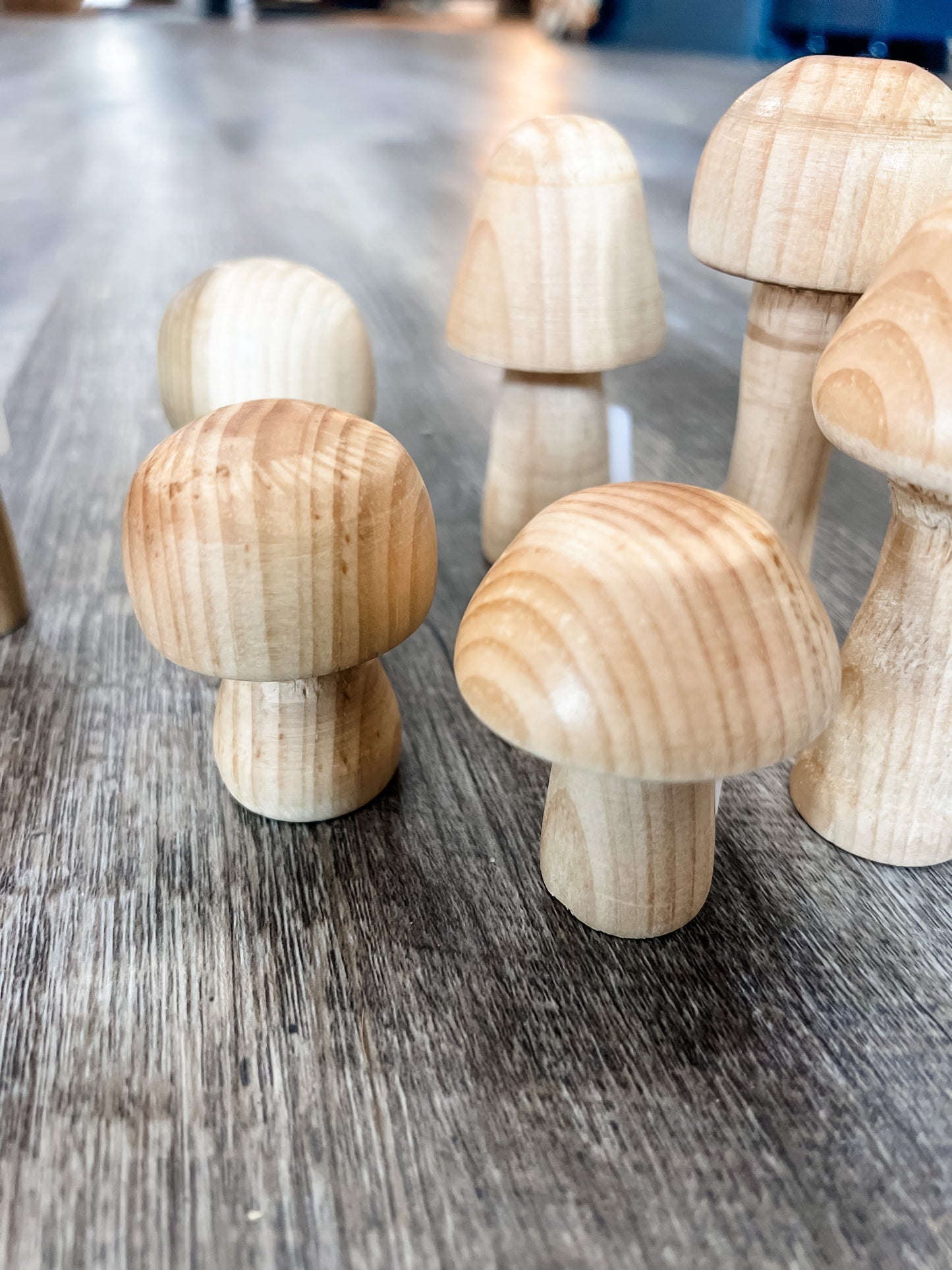 Tiny Wooden Mushroom